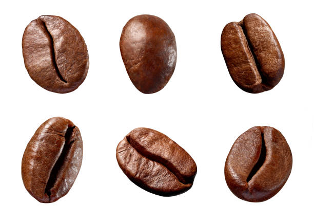 istock coffee bean brown roasted caffeine espresso seed 1125087436