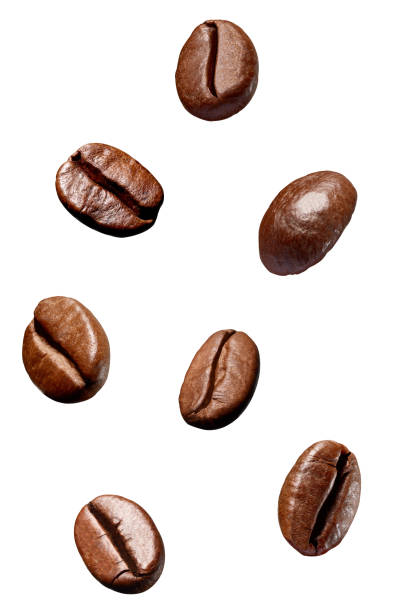 istock coffee bean brown roasted caffeine espresso seed 1125087908