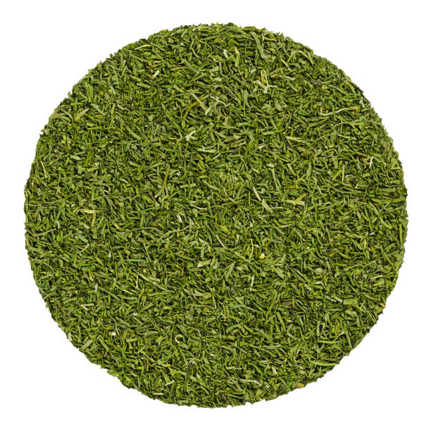 hojas de eneldo seco, círculo de la hierba de arriba, sobre blanco - herb plant dill frond fotografías e imágenes de stock