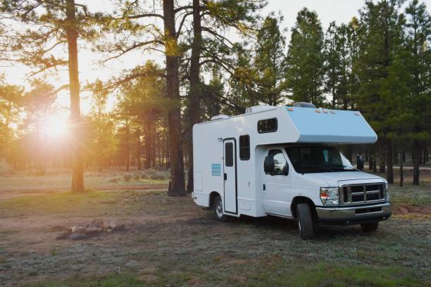 New Mexico, NM RV Shipping Services