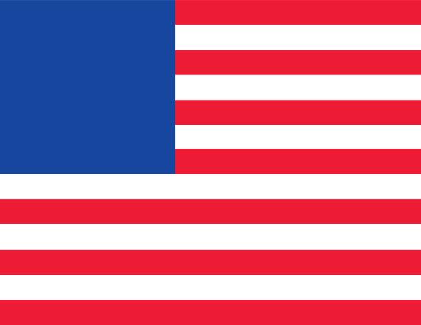 Vector Trendy USA Flag Vector Trendy American Flag without stars for print, gift, web, scrap and patchwork. шмель с цветочною пыльцой stock illustrations