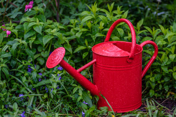 istock Red watering can in spring garden with raindrops 1125091101
