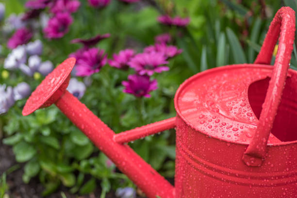 istock Raindrops on red sprinkler can in colorful spring garden 1125091166