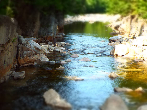 Low angle babbling brook in white mountains national forest in New Hampshire