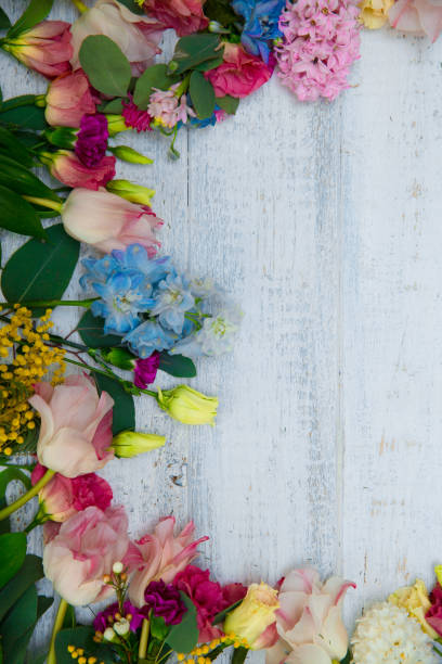 istock Spring flowers on wood background. Summer blooming border on a wooden table. 1125097952
