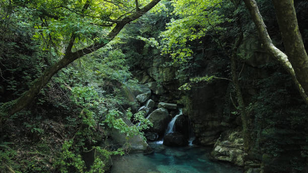Tsagkarada A secret waterfall at Tsagkarada in Pelion, Volos pilio greece stock pictures, royalty-free photos & images