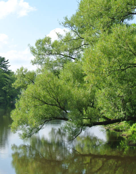 istock Moulins Islands - Terrebonne 1125107406