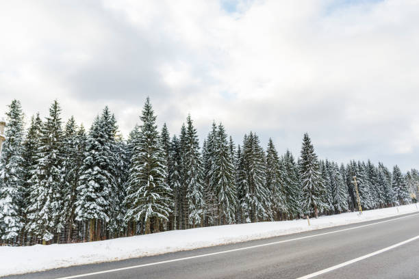 istock Mountain Road in the winter 1125109365