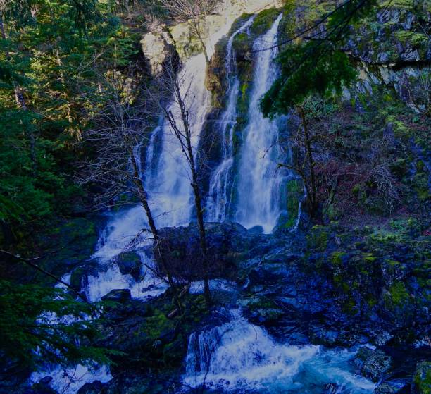 cascate triple della foresta nazionale di willamette - triple falls immagine foto e immagini stock