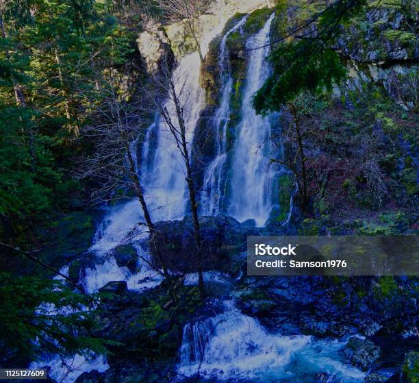 Willamette National Forest Triple Falls Stock Photo - Download Image Now - Willamette National Forest, Opal Creek Preserve, Waterfall
