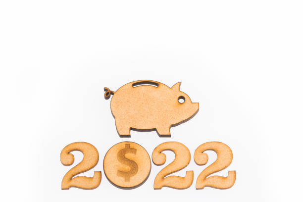 istock Budget for the year 2022 - Savings concept. White background 1125135661
