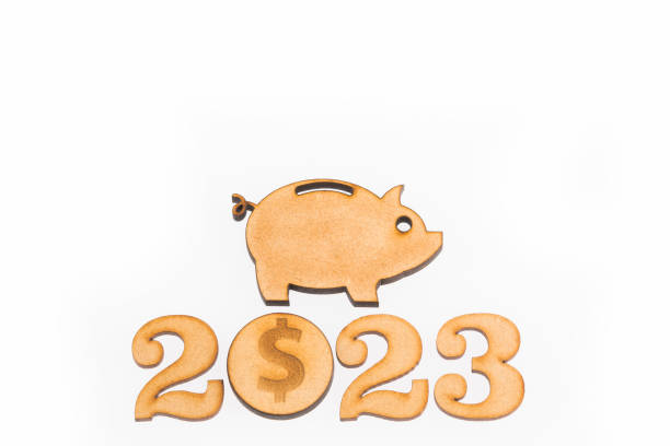 istock Budget for the year 2023 - Savings concept. White background 1125135664