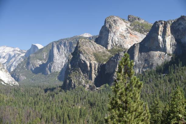 istock Yosemite Valley Looking East 1125137785
