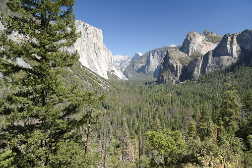 Looking east along Yosemite Valley and the Merced River.