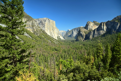 Looking east along Yosemite Valley and the Merced River.