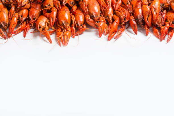 gotowane raki na białym tle - crayfish new orleans cajun food louisiana zdjęcia i obrazy z banku zdjęć