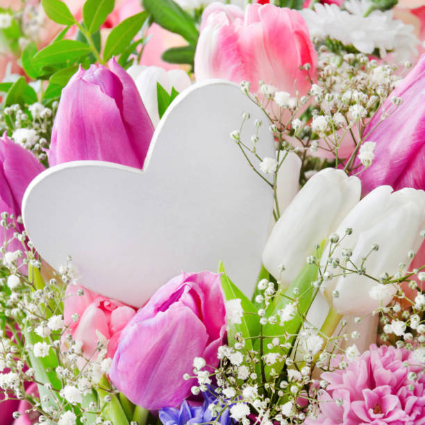 Beautiful tulips and hearts  on a white  background