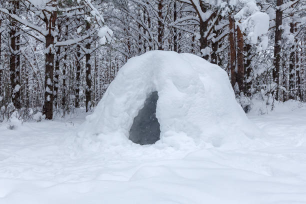 survival in the wild: a house of snow construction of snow shelter for survival in the winter forest in the cold burrow somerset stock pictures, royalty-free photos & images