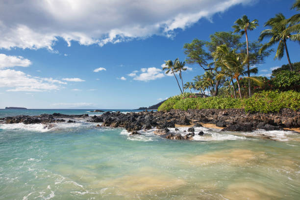 istock Gentle Waves at Tropical Beach (Makena Cove, Maui HI) 1125141156