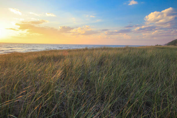 ミシガン湖の海岸の砂丘草夕日 - travel destinations lake michigan freshwater standing water ストックフォトと画像