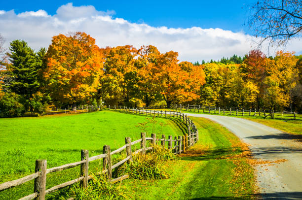istock Curve in the Road 1125146847