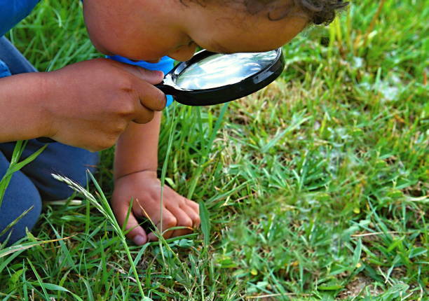 虫眼鏡を持つ少年 - magnifying glass lens holding europe ストックフォトと画像