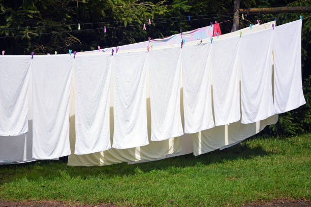 istock White bedding sheets drying naturally in the sunshine 1125151283