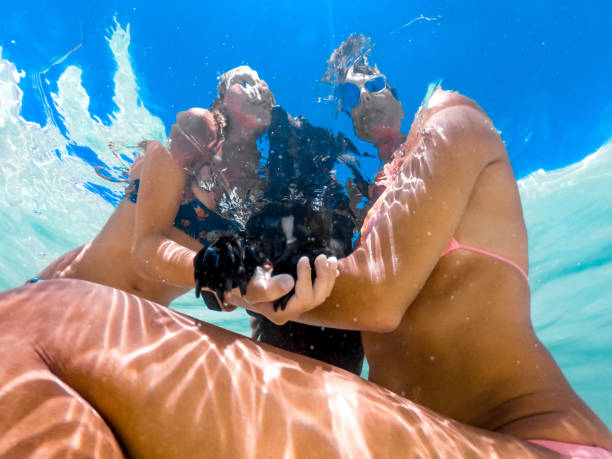 figlia e madre che giocano con il cane nel mare - underwater dog adult happiness foto e immagini stock