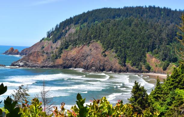 istock Indian Beach- Cannon Beach, OR. 1125153805