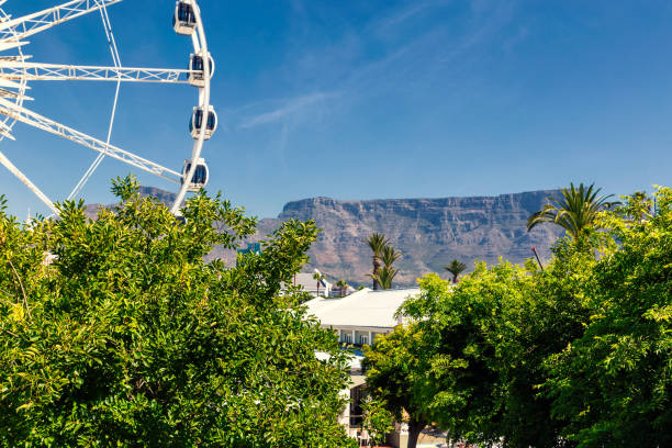 istock Ferris wheel and Table Mountain view at Waterfront in Cape Town 1125154889