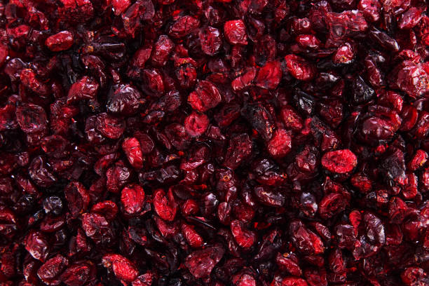 istock Cranberries dried, food background isolated on white background 1125157998