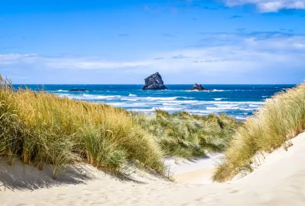 Photo of Views over Sandfly Bay, Otago Peninsula, Dunedin, New Zealand