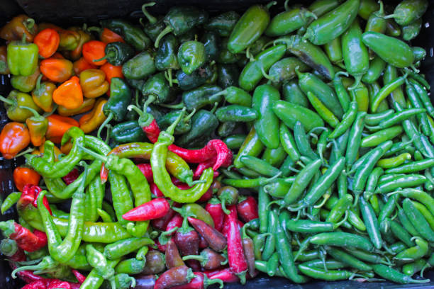 Assorted chili peppers stock photo