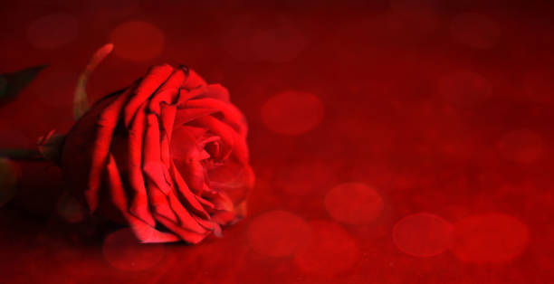 istock Valentine's or Women's Day background. 1125171710