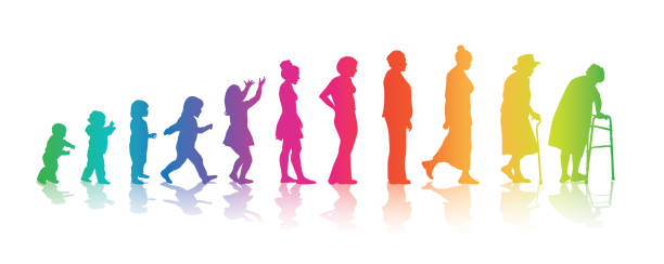Colourful Women's Ages Aging process in humans from baby to old age in rainbow colours baby human age stock illustrations