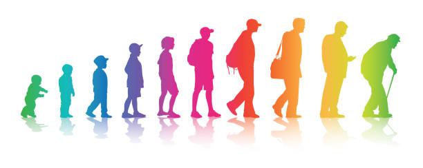 Life Changes Your Colors Aging process in humans from baby to old age in rainbow colours adult age stock illustrations