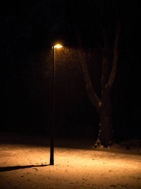 single street lamp in a public park at night during snowfall