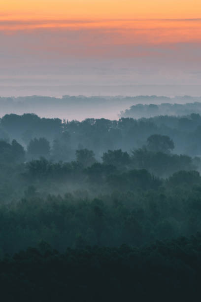 istock Mystical view from top on forest under haze at early morning. Mist among layers from tree silhouettes in taiga under warm predawn sky. Morning atmospheric minimalistic landscape of majestic nature. 1125177366