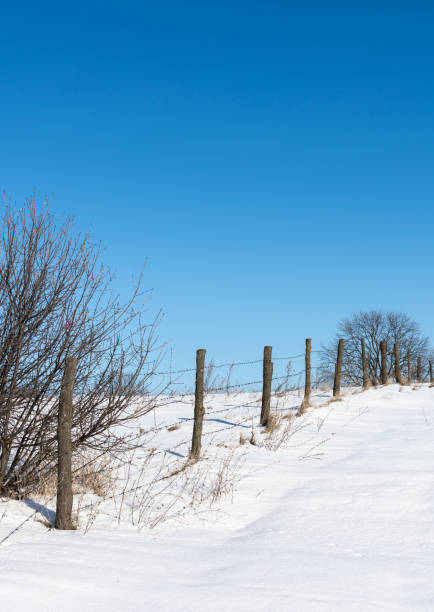 istock Fence with barbed wire in the village 1125177401