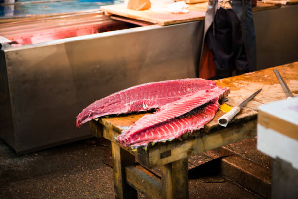 istock Fresh Fish on Display for Fish Market 1125188191