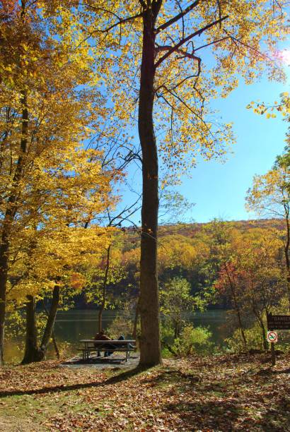 istock Fall scenery in Burke Lake Virginia 1125188359