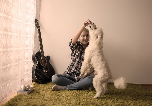 istock Girl  with a dog 1125188759
