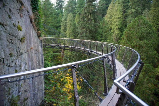 istock Suspended bridge walk in British Columbia, Canada 1125189657