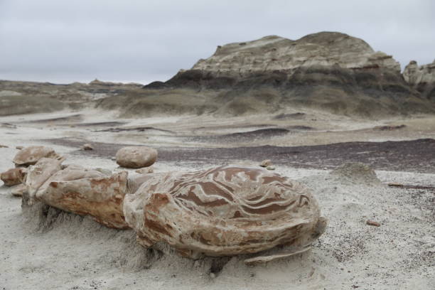 istock Bisti badlands,Cracked Eggs,New Mexico, USA 1125198798