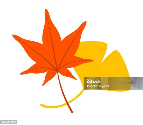 단풍나무와 은행나무는 0명에 대한 스톡 벡터 아트 및 기타 이미지 - 0명, 가을, 가을 단풍 - Istock