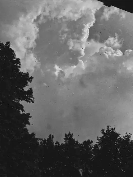 Dark trees with massive storm clouds looming over