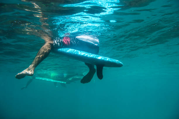 persona que practica surf bajo el agua - 5659 fotografías e imágenes de stock