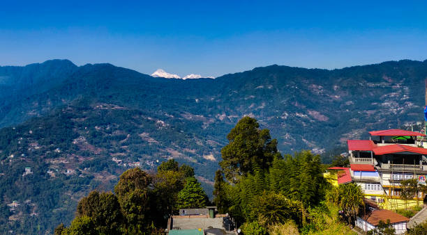 istock mountain view shot with green tress on it 1125220004