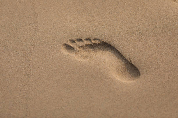 Footprints in the sand at the sea