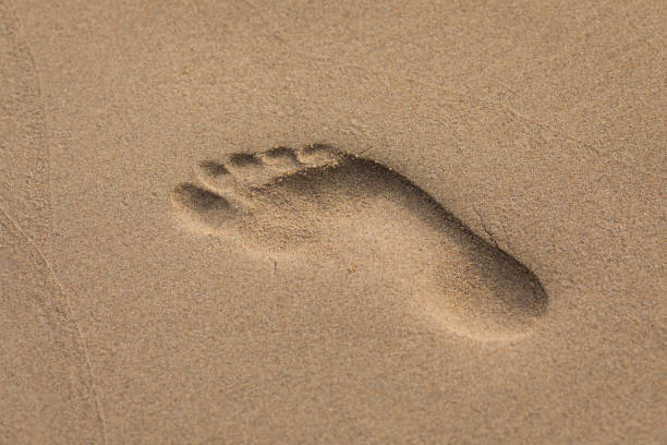 istock Footprints in the sand at the sea 1125228625